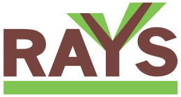 Rays Capital Logo